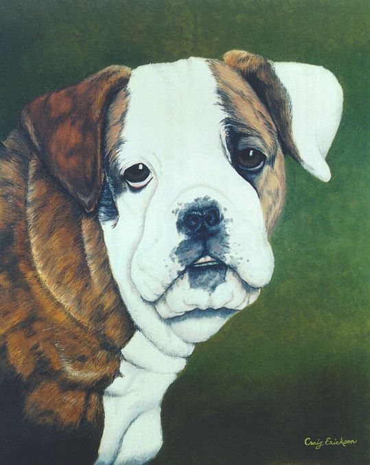 Lizzy--English Bulldog--Oil Pastel