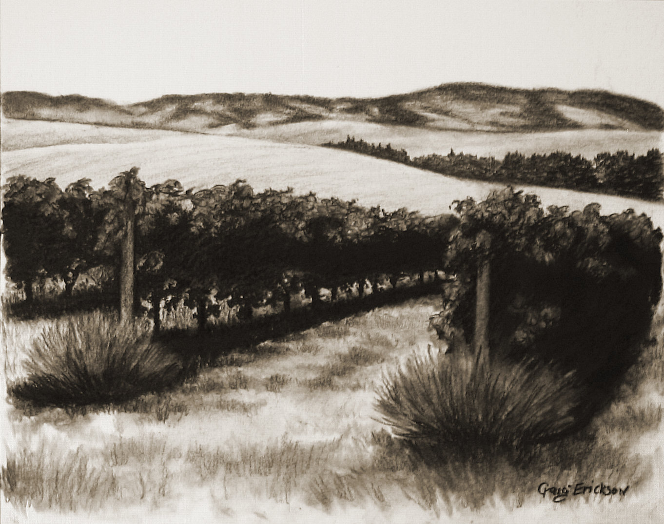 Leonetti Cellar, Mill Creek  Upland Vineyard, (c)2009 by Craig Erickson